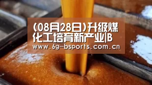 (08月28日)升级煤化工培育新产业|B体育(图2) b体育网页版