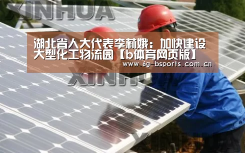 湖北省人大代表李莉娥:加快建设大型化工物流园【b体育网页版】(图2) b体育平台