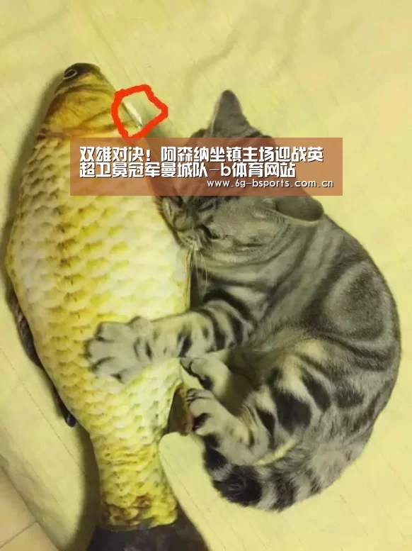 双雄对决!阿森纳坐镇主场迎战英超卫冕冠军曼城队-b体育网站(图2) b体育下载